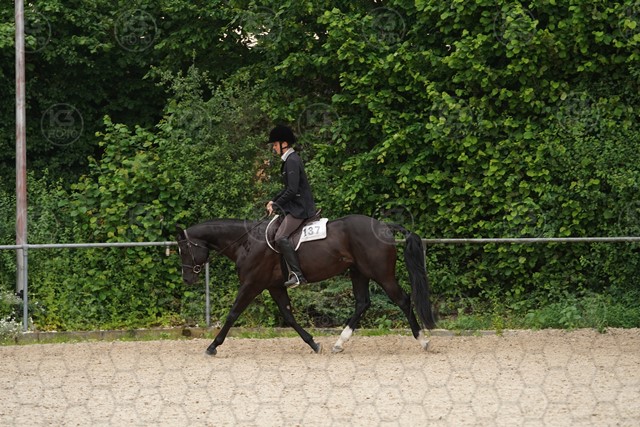 sA9K09912.JPG